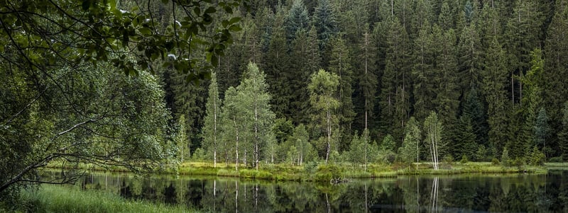 Black Forest, Germany